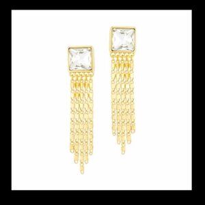 Clear & Gold Chain Tassel Earrings